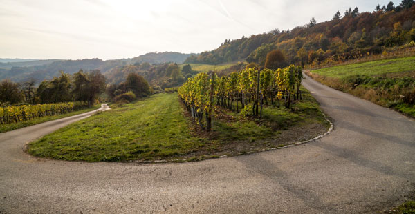 Albachmühle Radwege