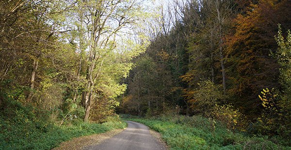 Albachmühle Wandern